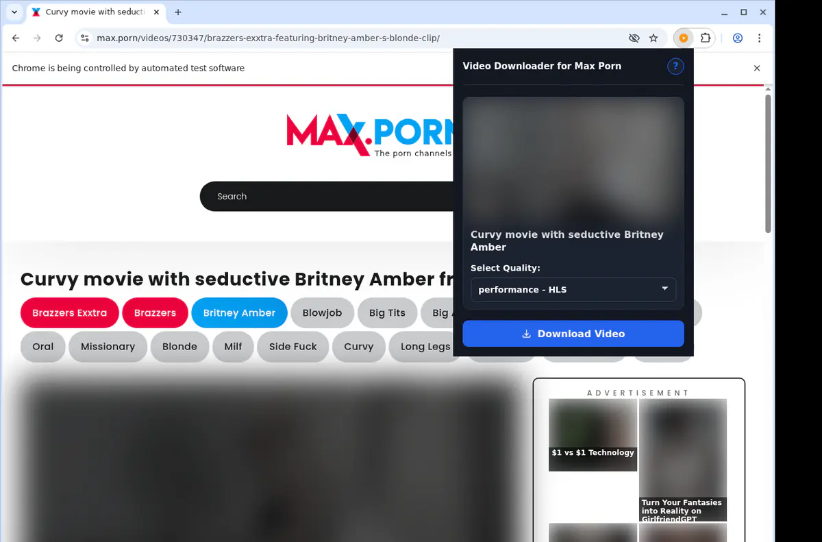 Maxporn Video Downloader screenshot 3